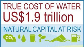 True cost of water report